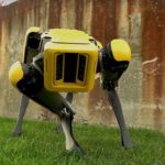 spot robot dog