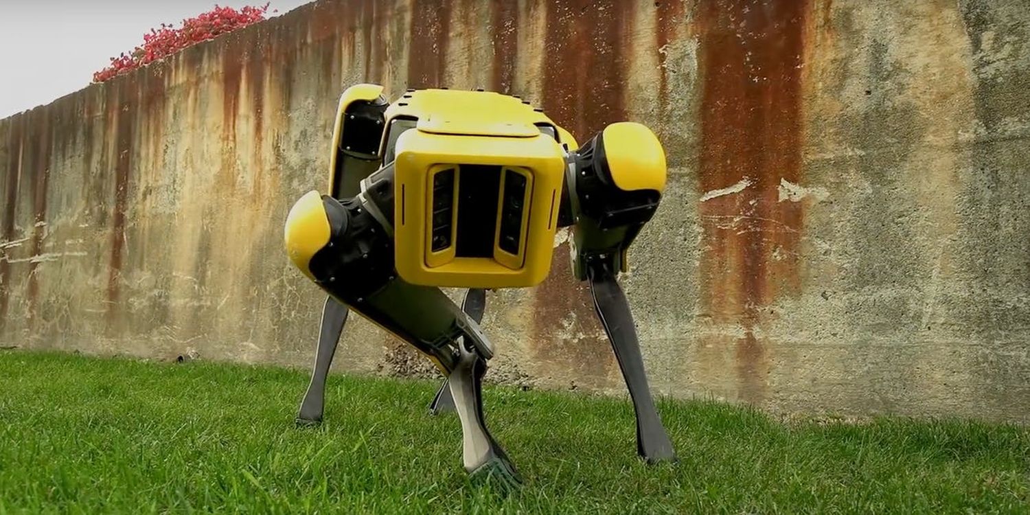 spot robot dog