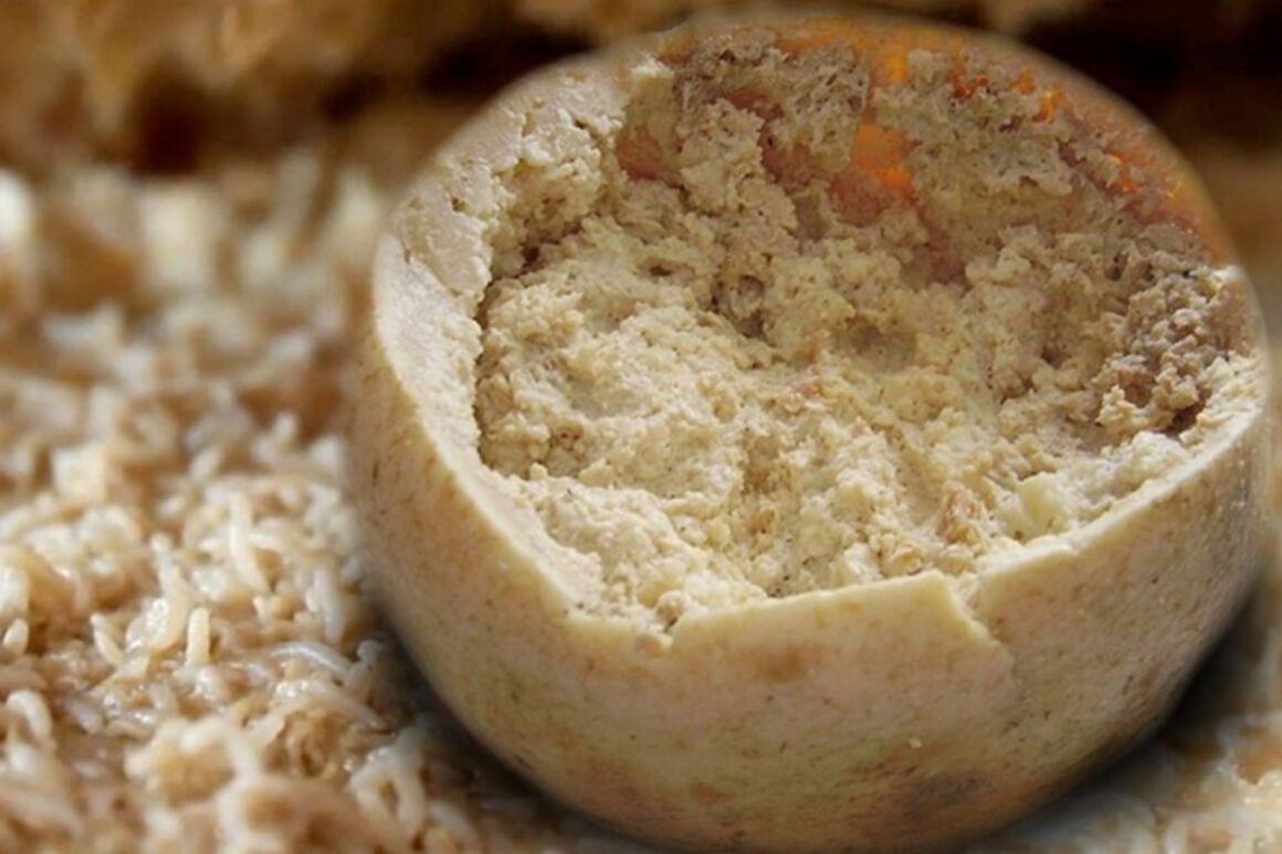 Casu Marzu