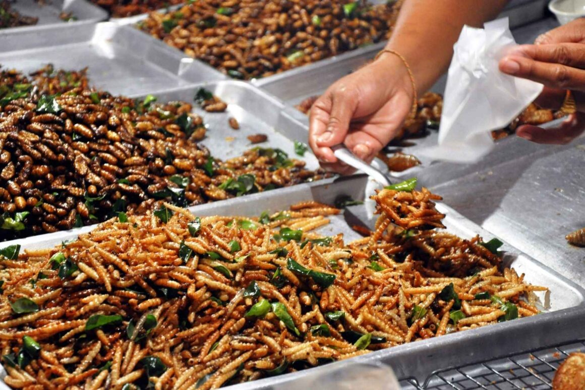 insect market